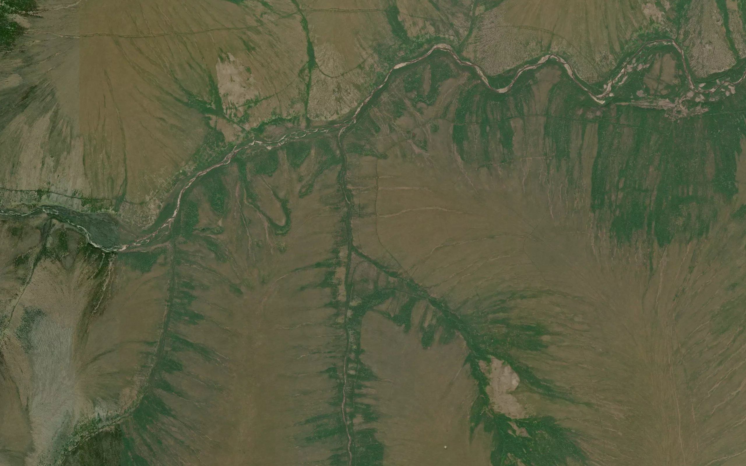 Mastodon Creek