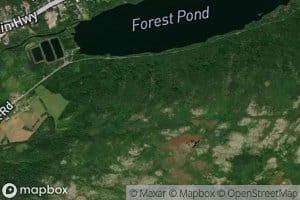 Forest Pond
