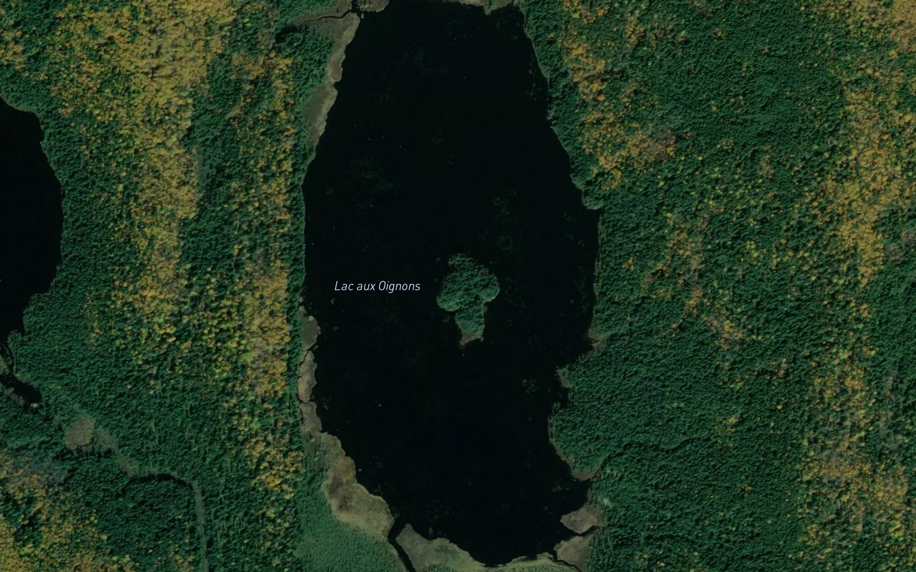 Satellite map of the Lac aux Oignons