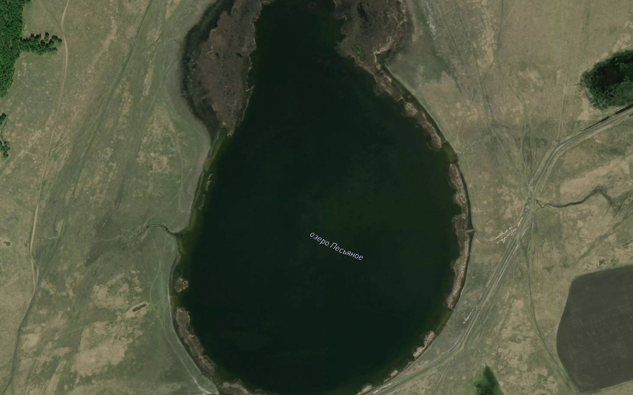 Ozero Pes'yanoye