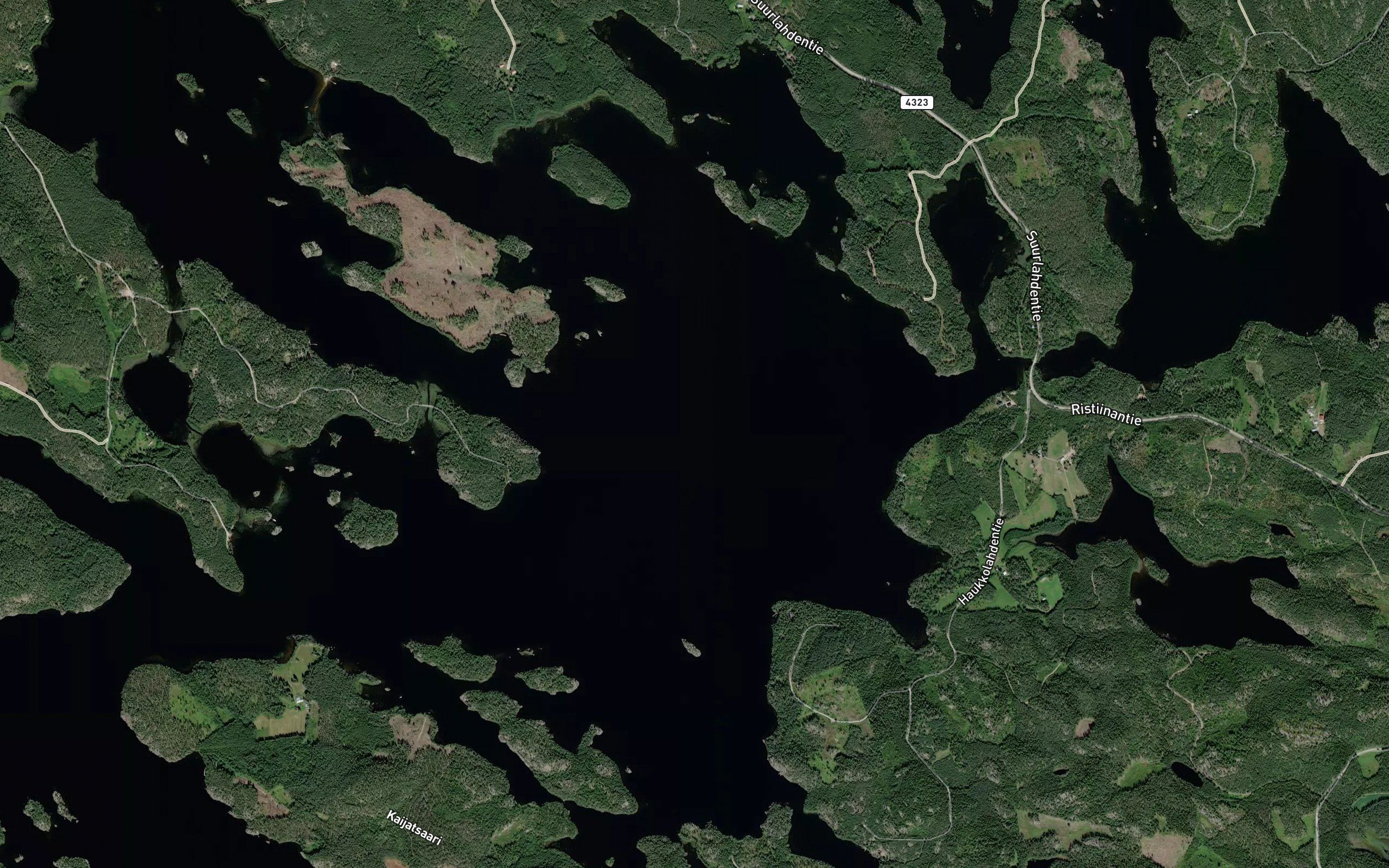 Lehtisenselka
