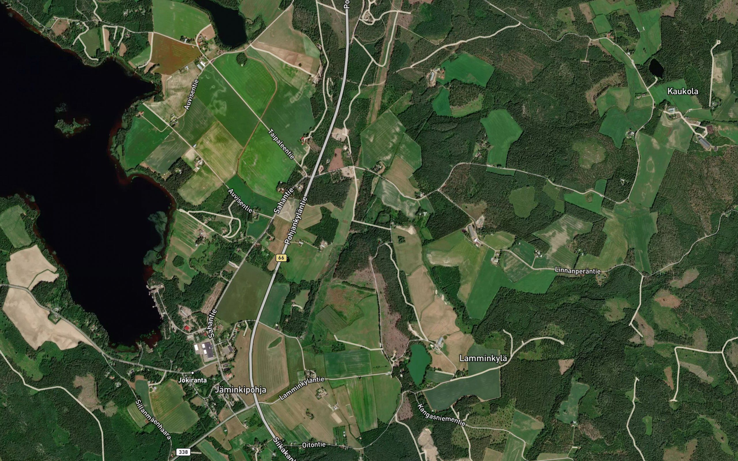 Haaralamminoja