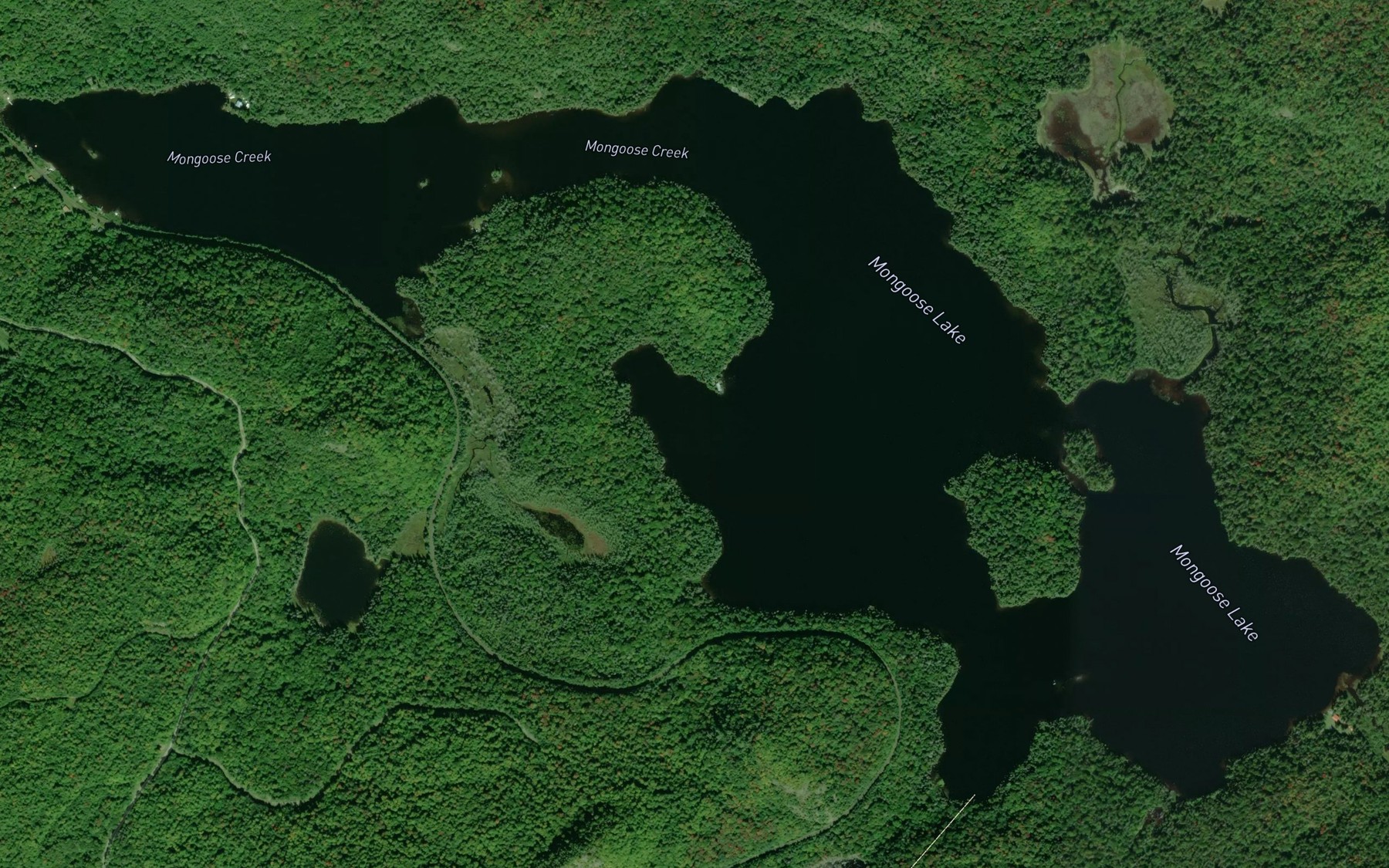 Satellite map of the Mongoose Lake