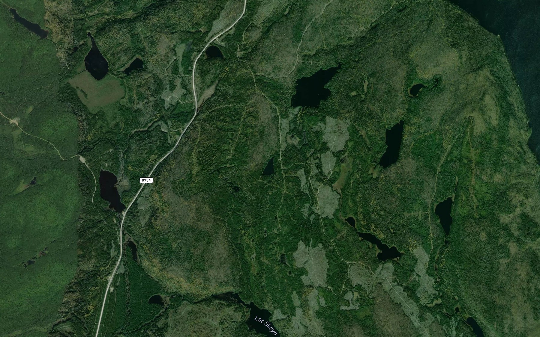 Satellite map of the Lac Sentinelle