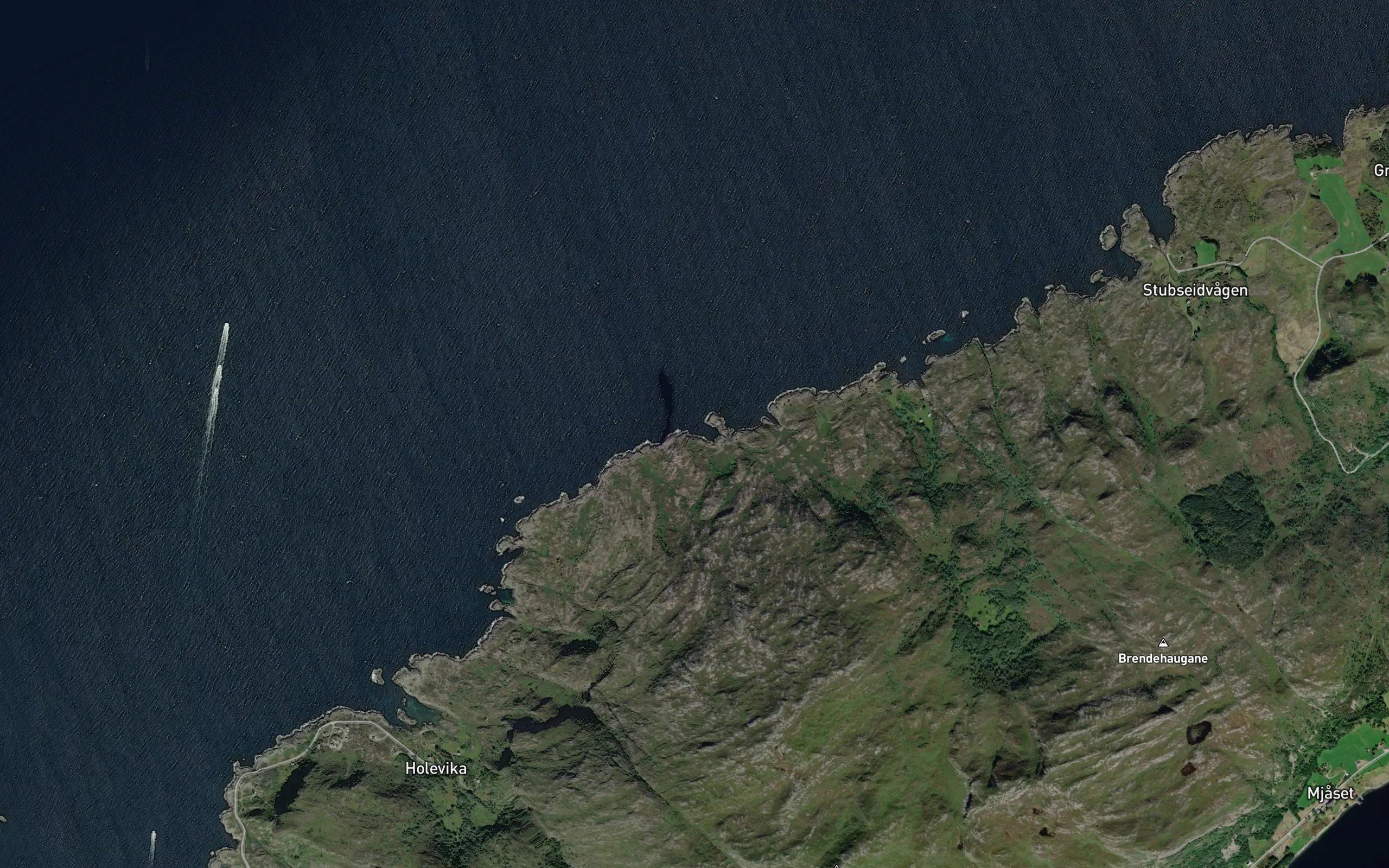 Klubbevika