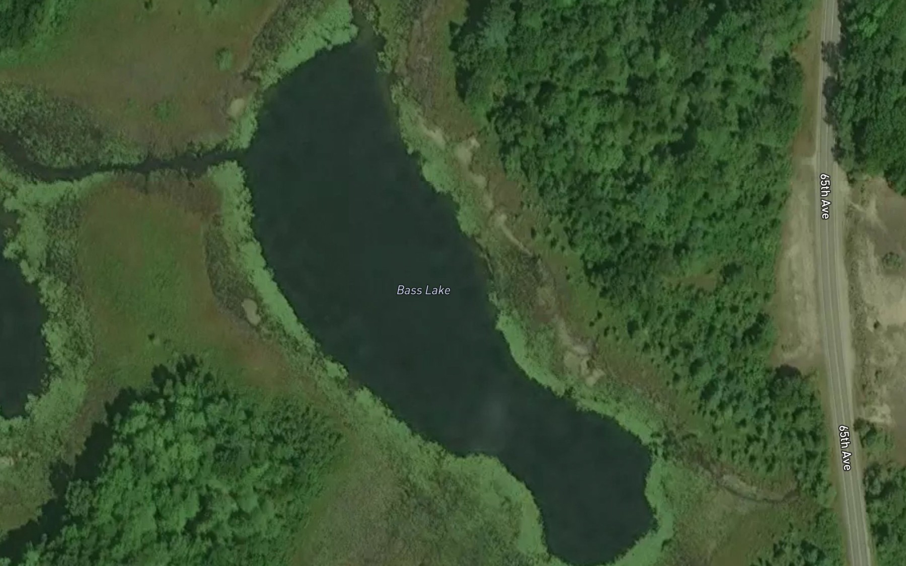 Satellite map of the Bass Lake