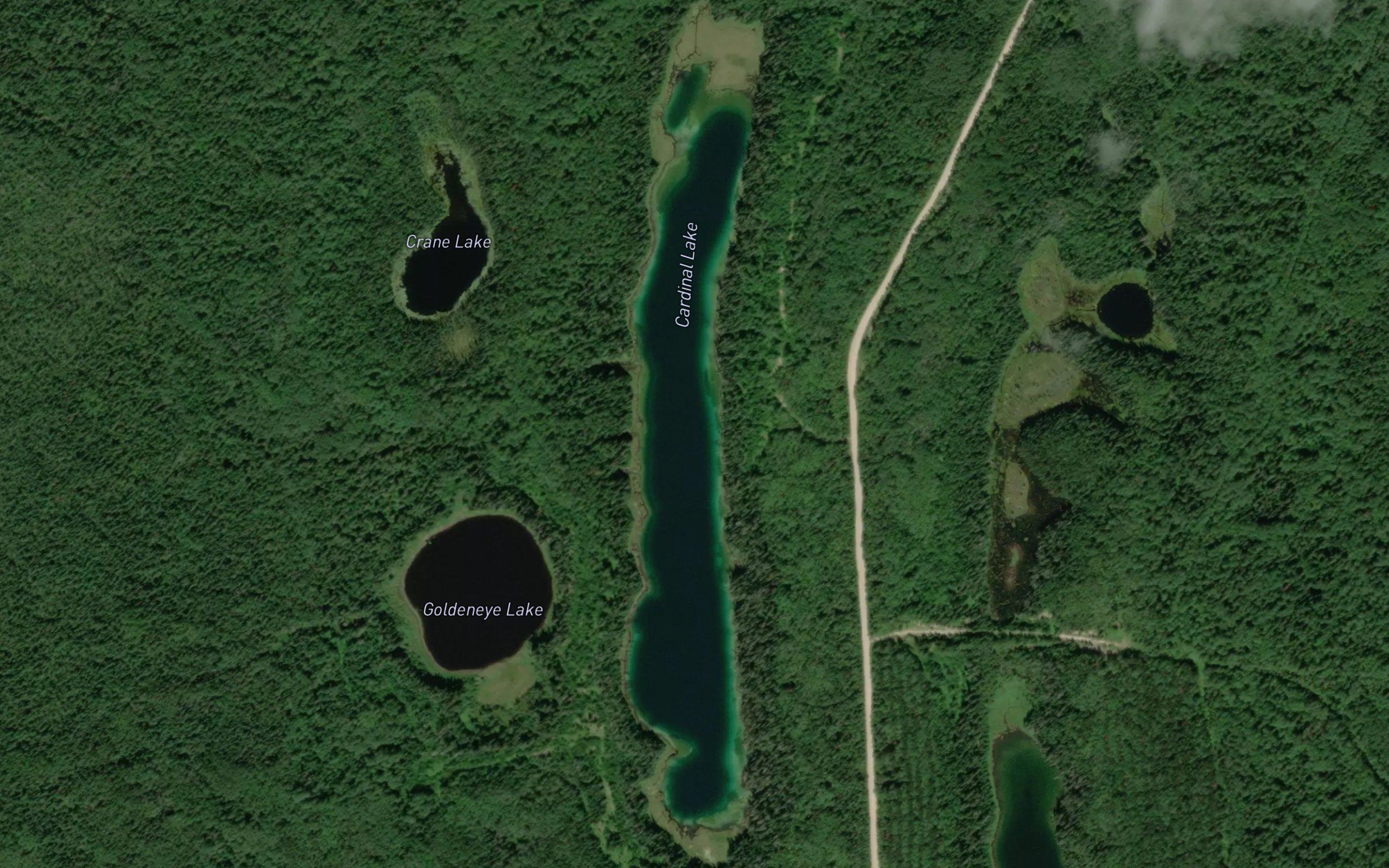 Cardinal Lake