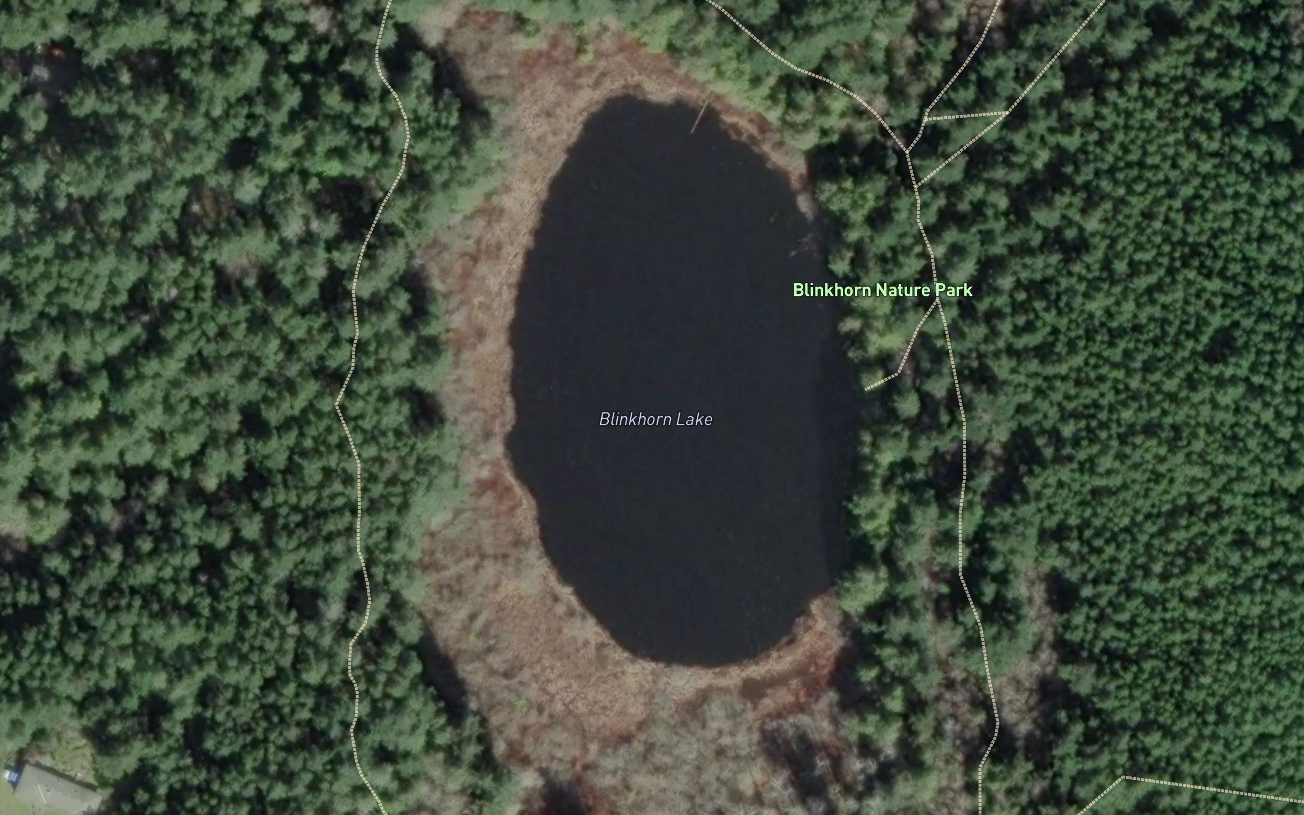 Blinkhorn Lake