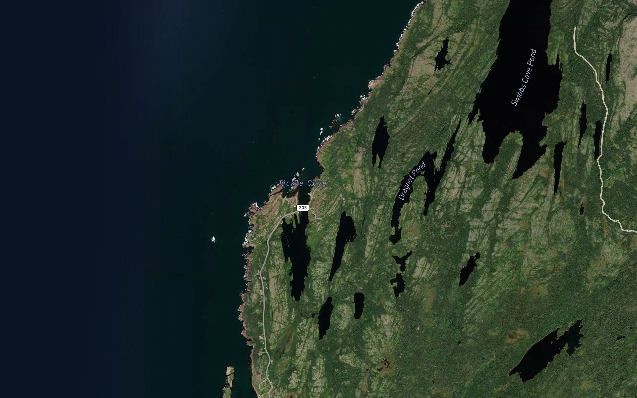 Tickle Cove