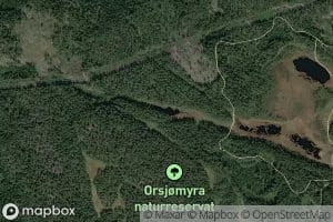 Grisebergtjenn