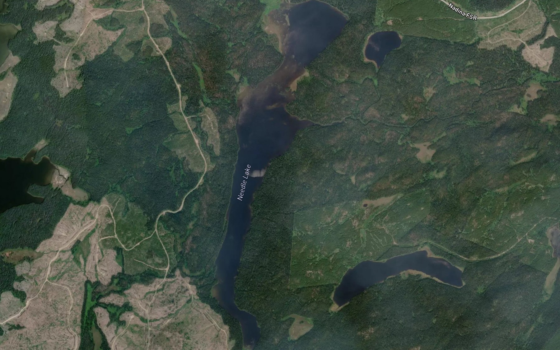 Satellite map of the Needle Lake