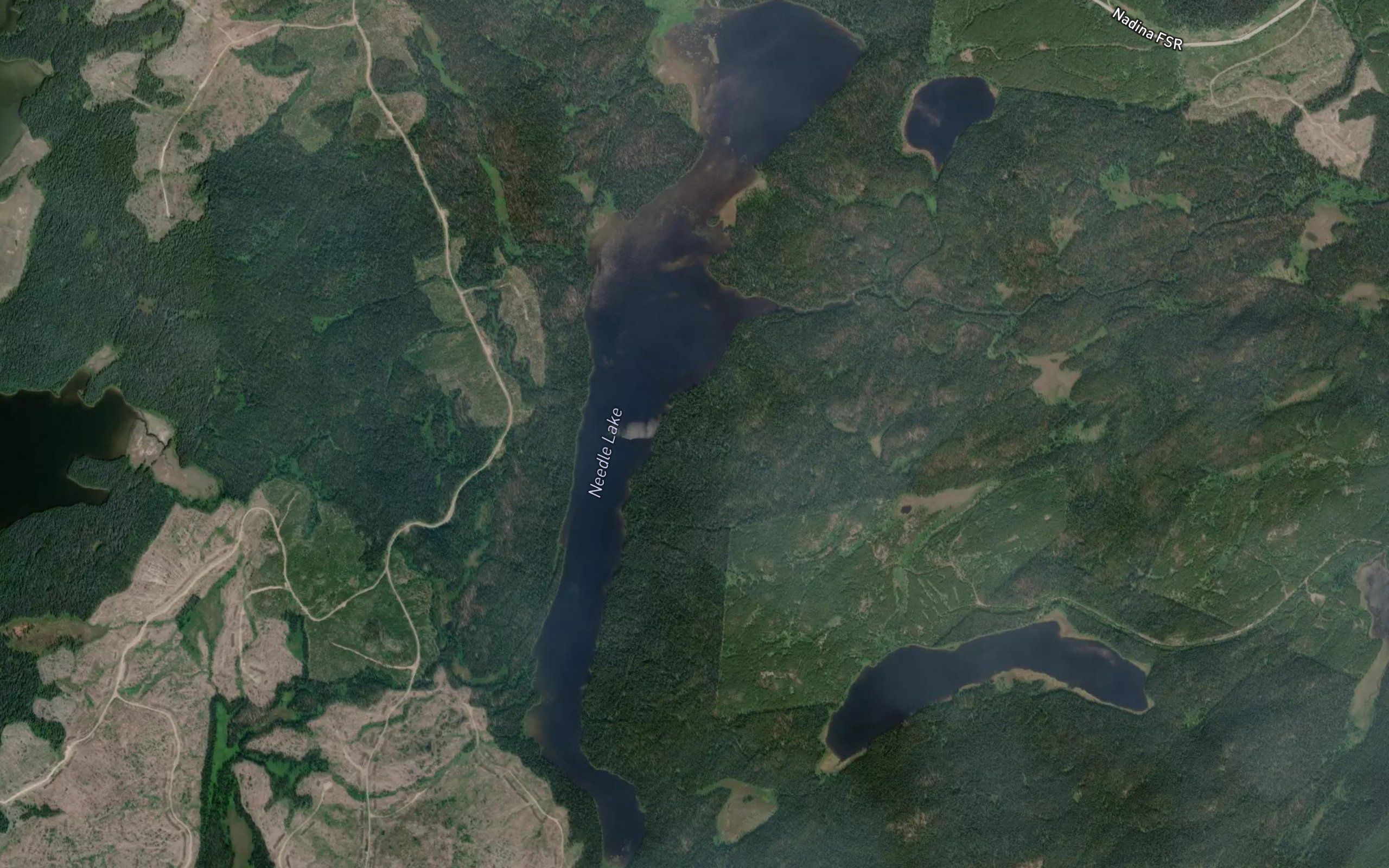 Needle Lake