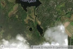 Skjefthaen