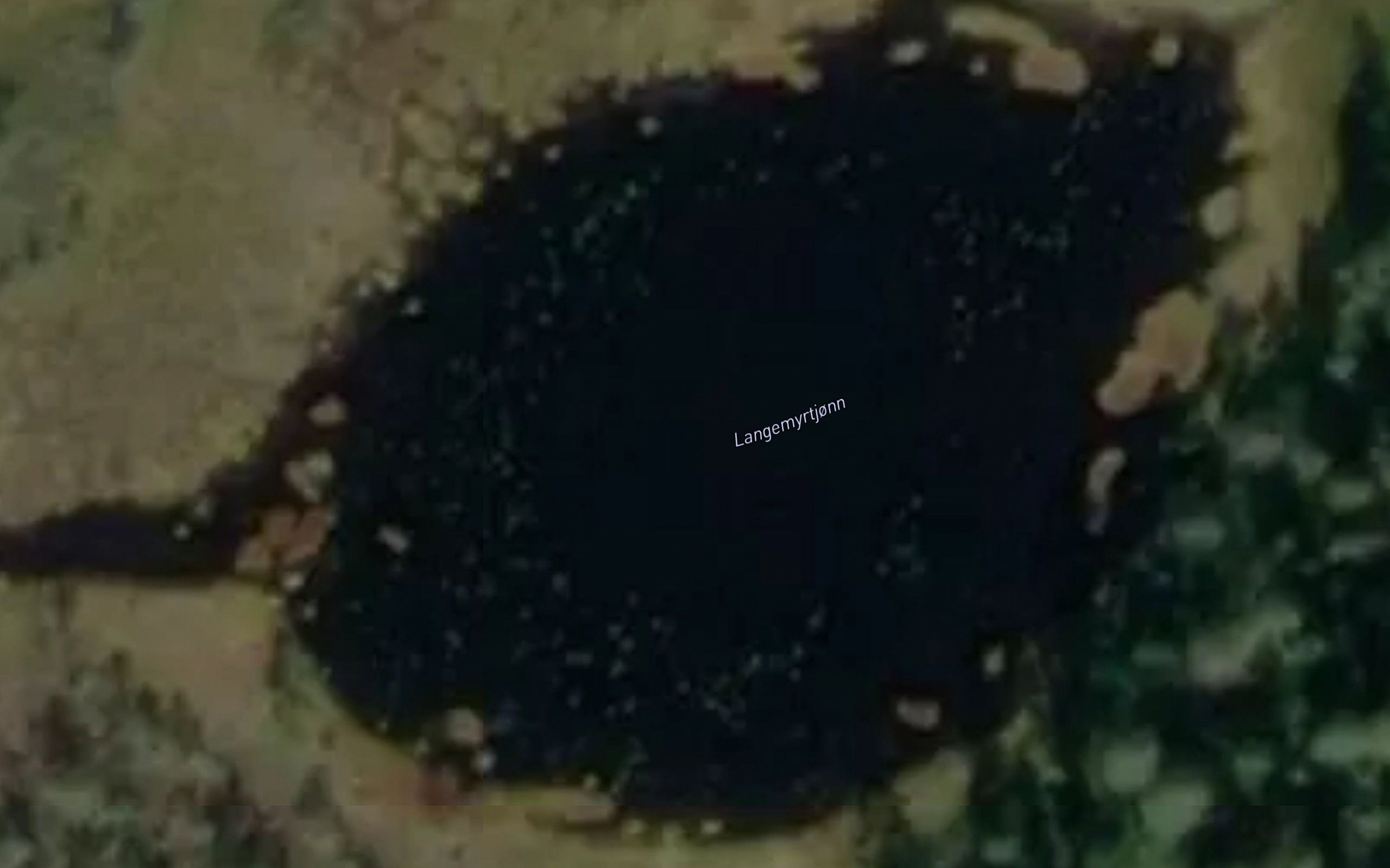 Langemyrtjonn