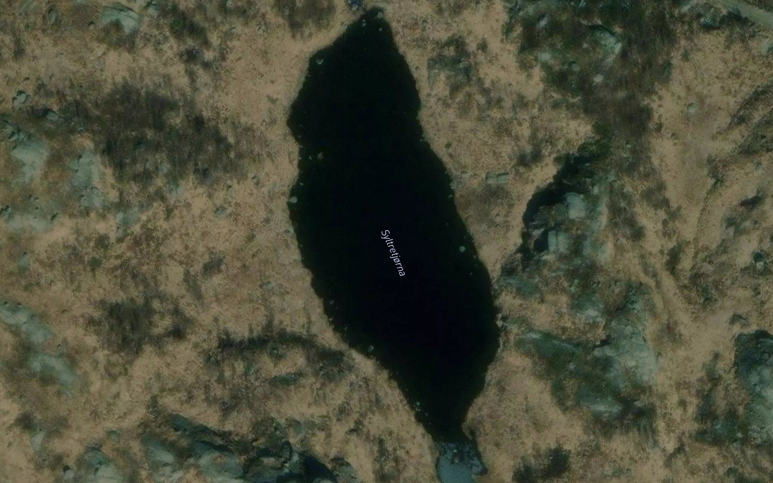 Syltretjorni