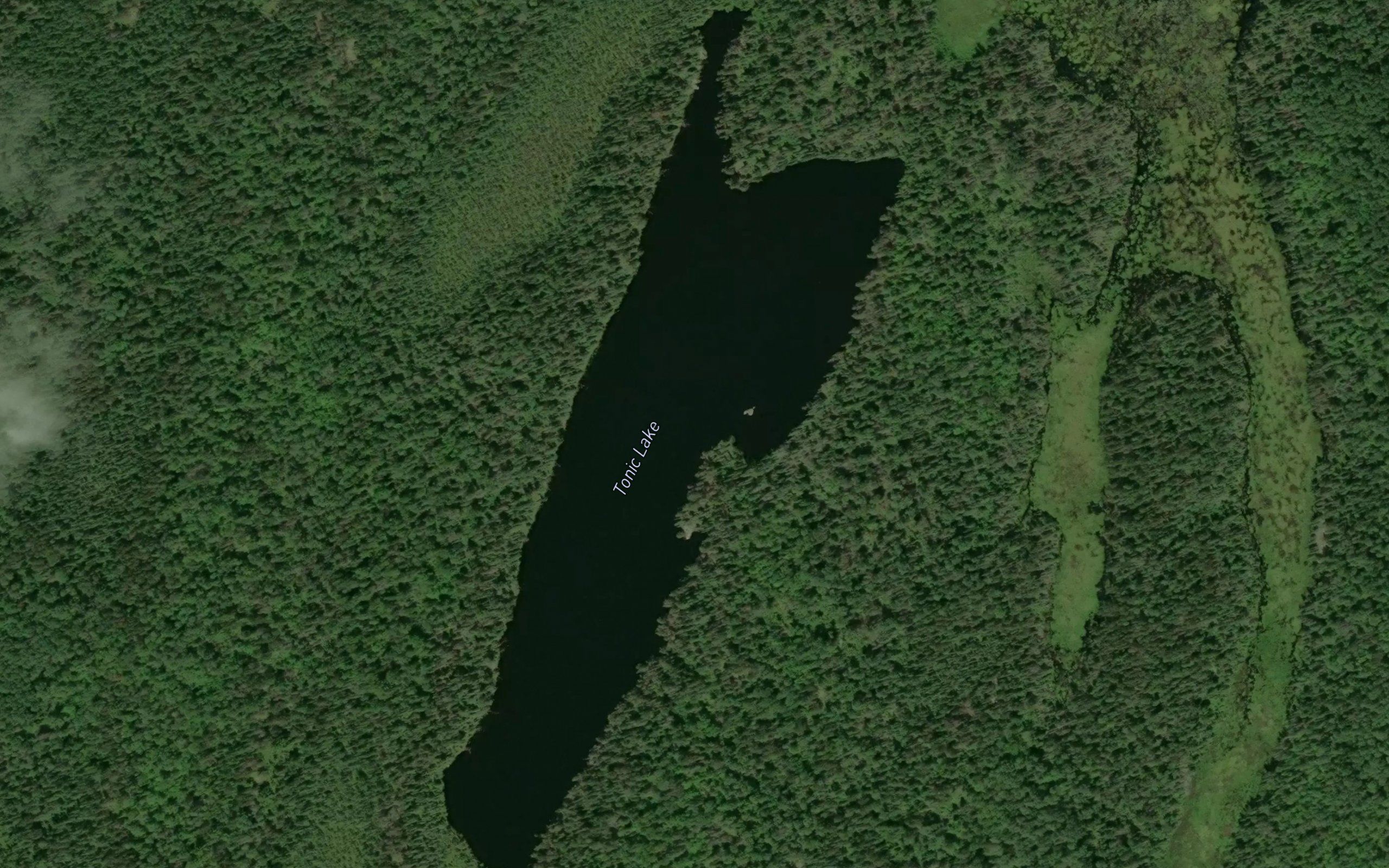 Tonic Lake