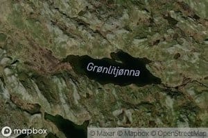 Gronlitjorna