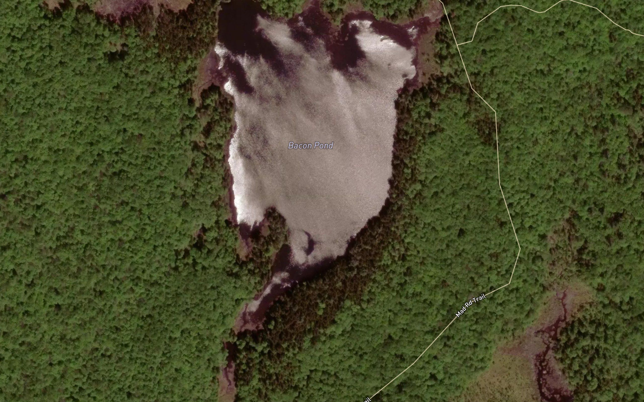 Bacon Pond
