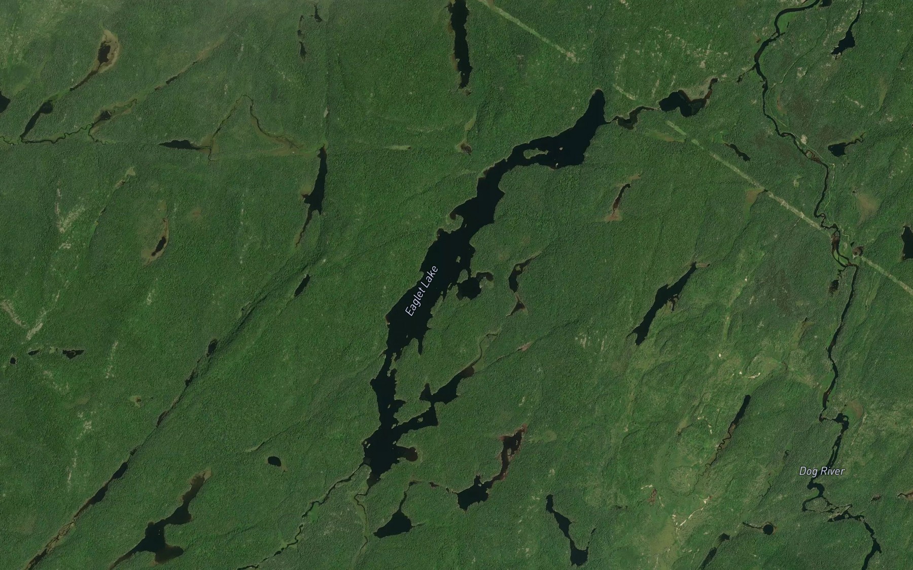 Satellite map of the Eaglet Lake