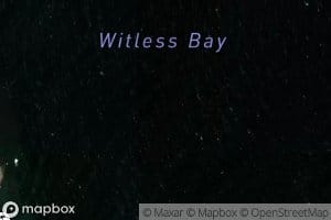 Witless Bay