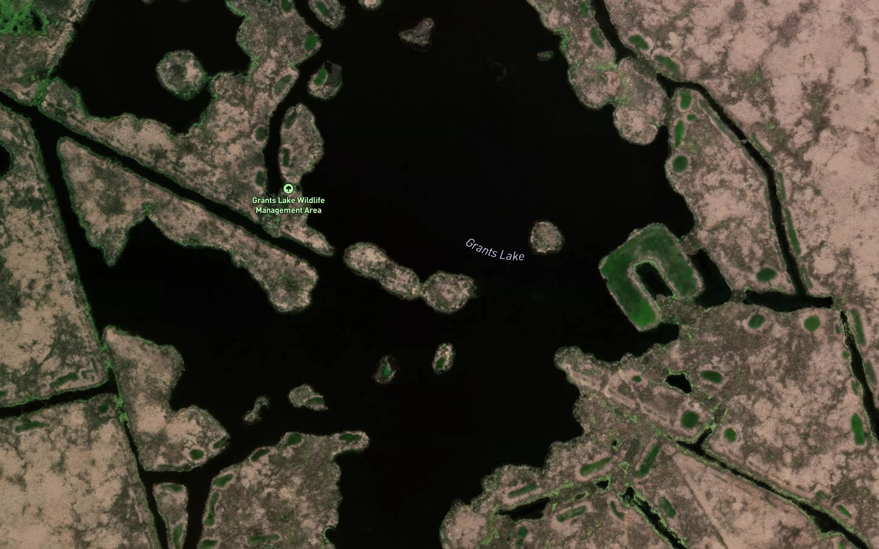 Satellite map of the Grants Lake