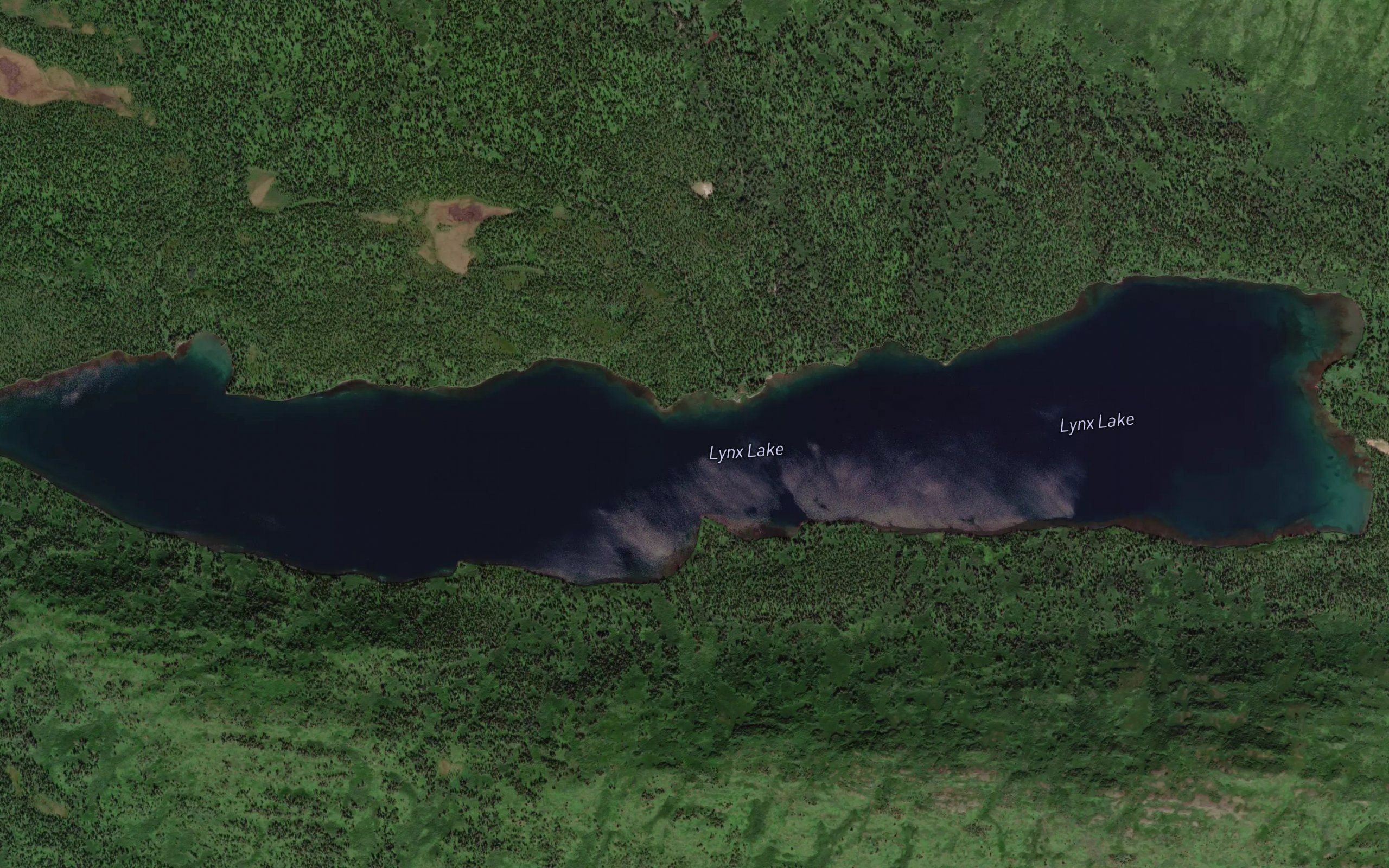 Lynx Lake