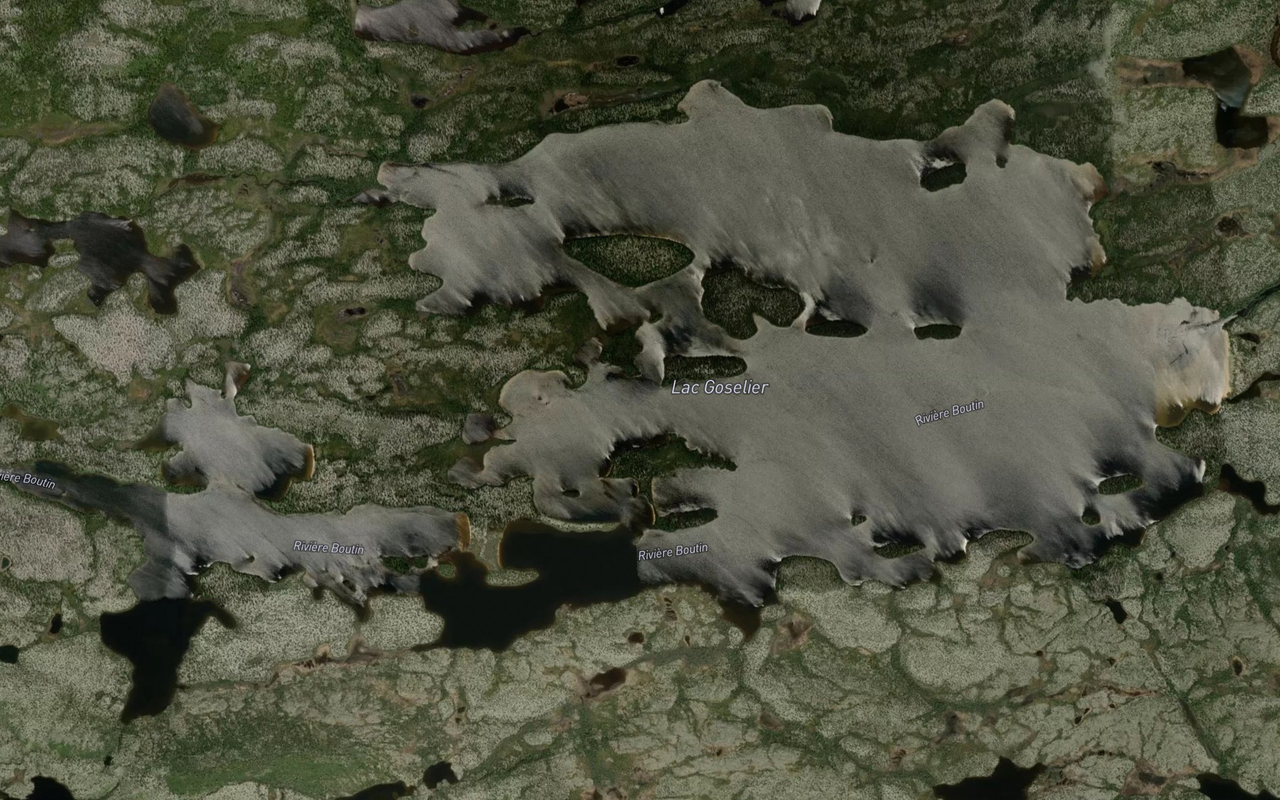 Satellite map of the Lac Goselier