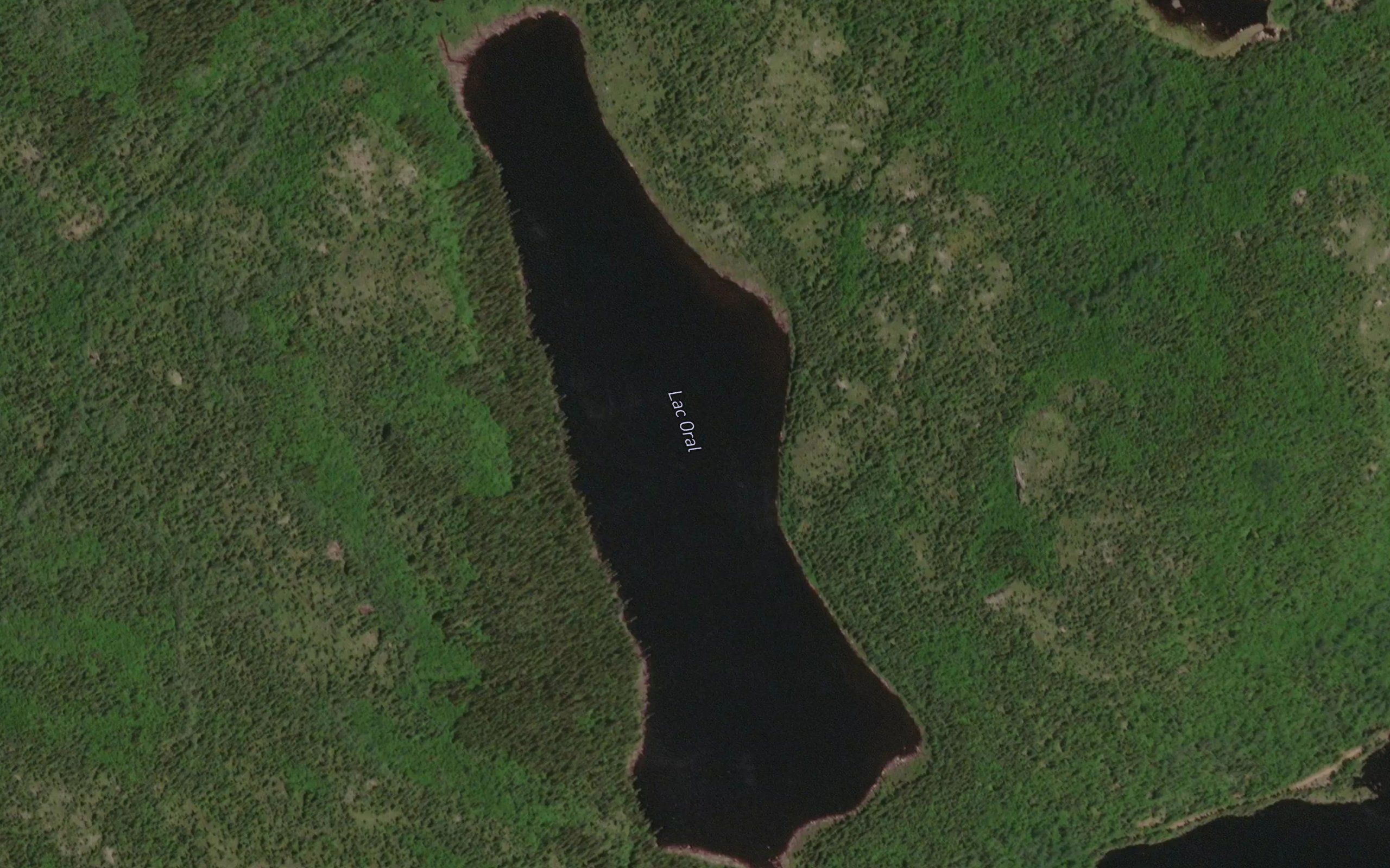 Lac Oral