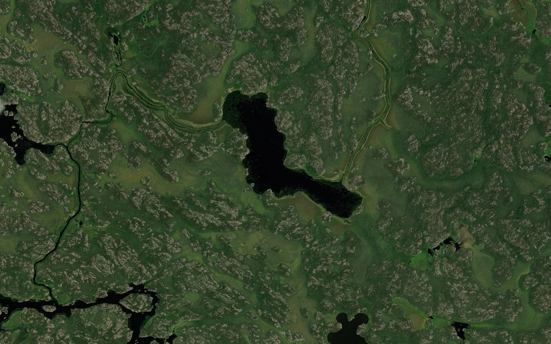Satellite map of the Saucer Lake