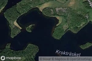 Kroktraesket