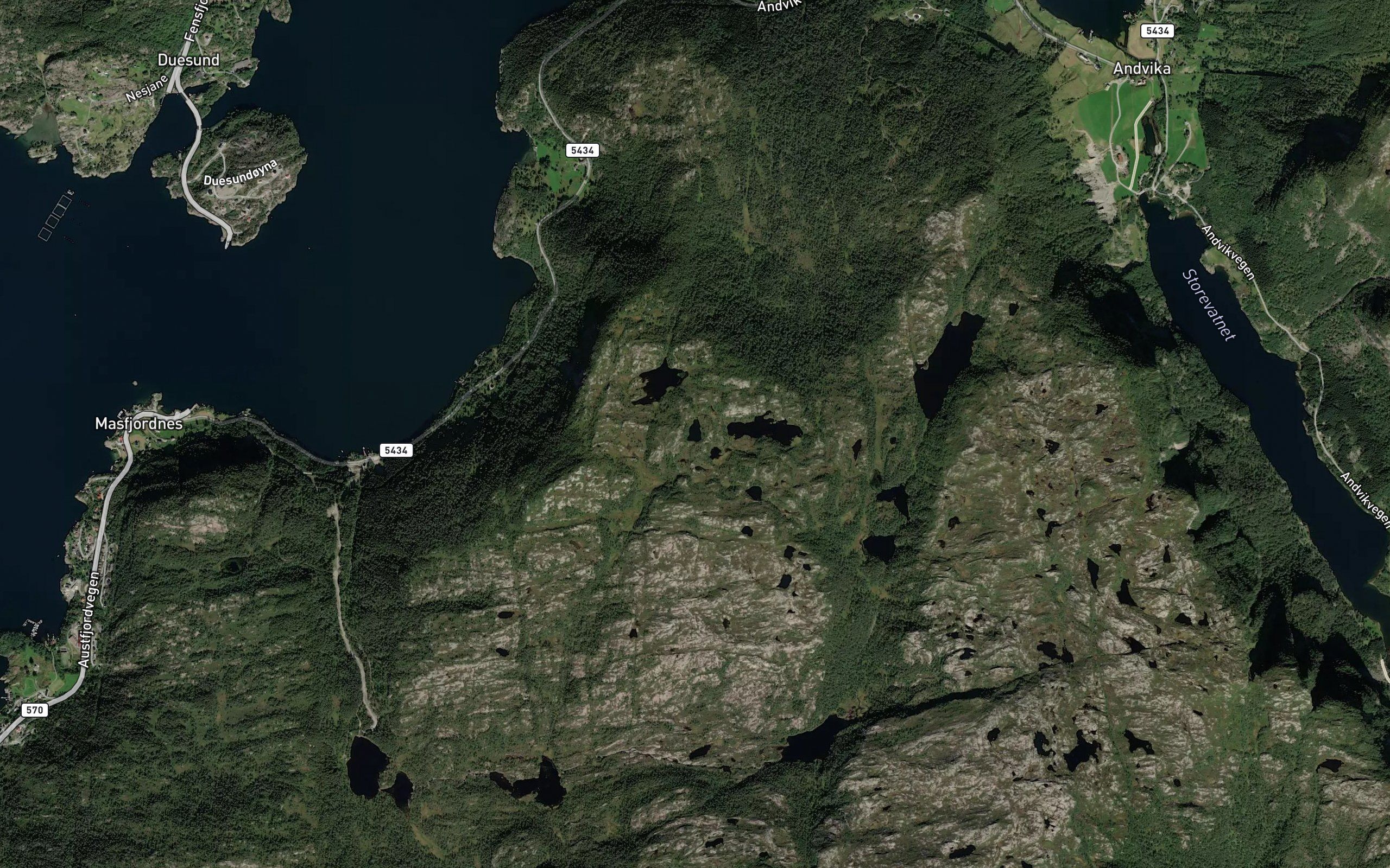 Djupetjorna