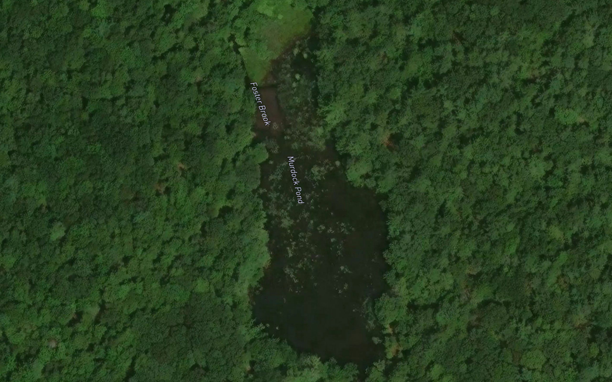 Murdock Pond