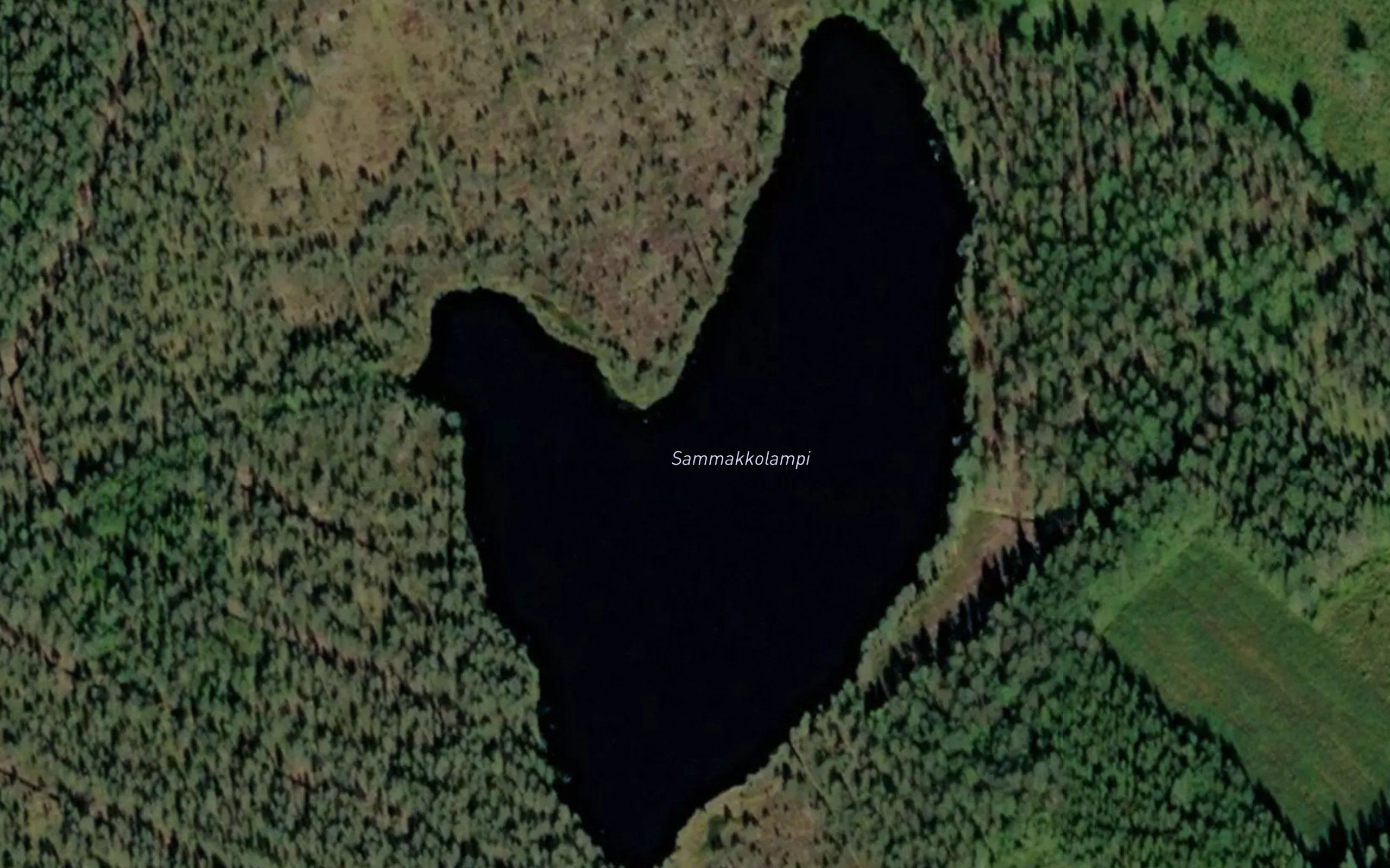 Sammakkolampi