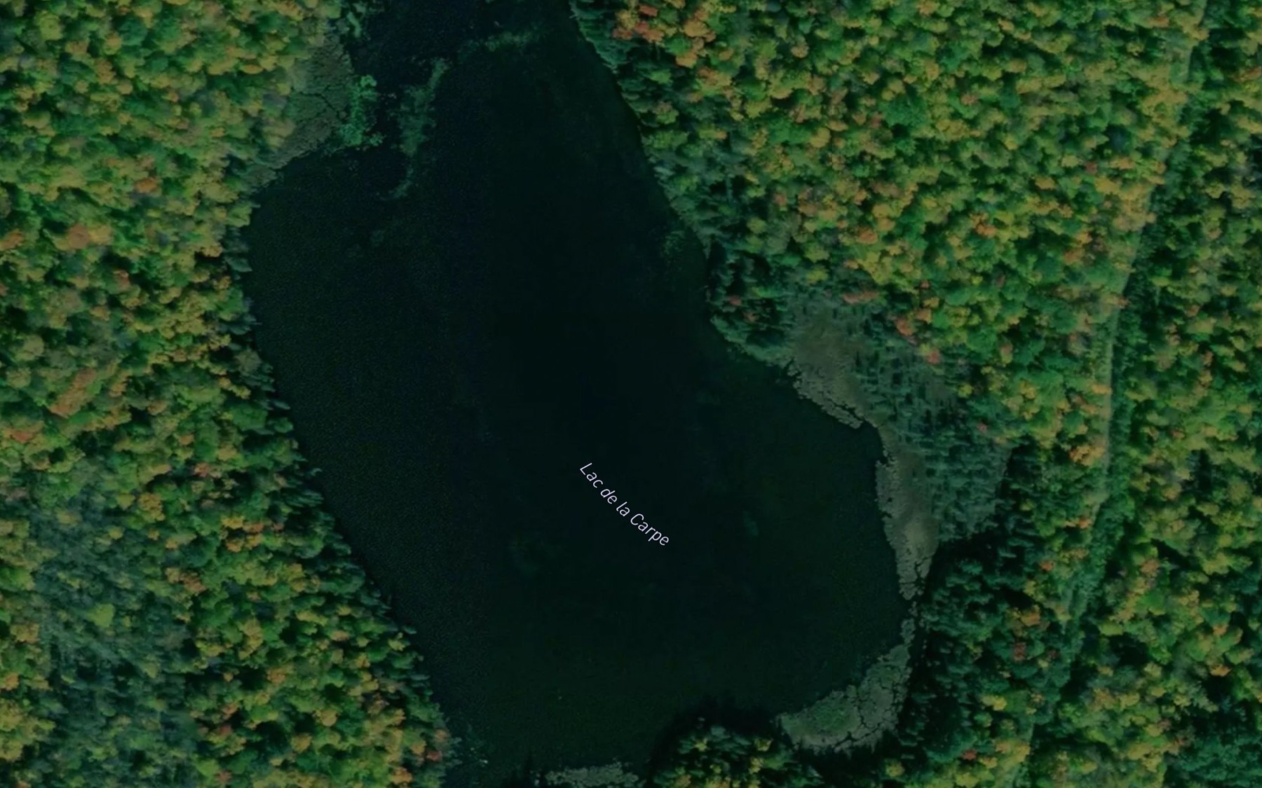 Satellite map of the Lac de la Carpe