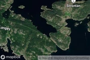 Kollavika
