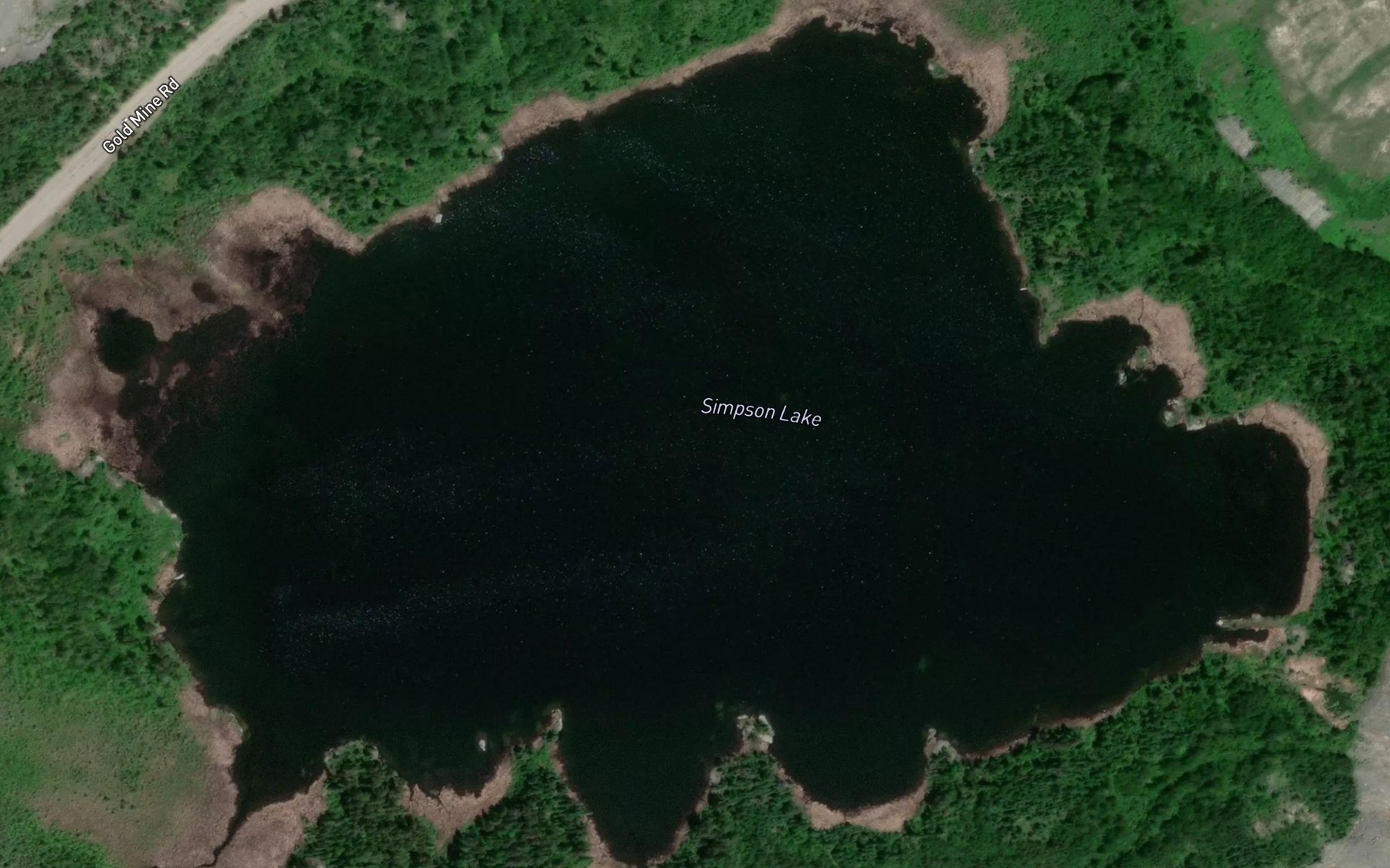 Satellite map of the Simpson Lake