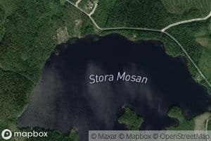 Stora Mosan