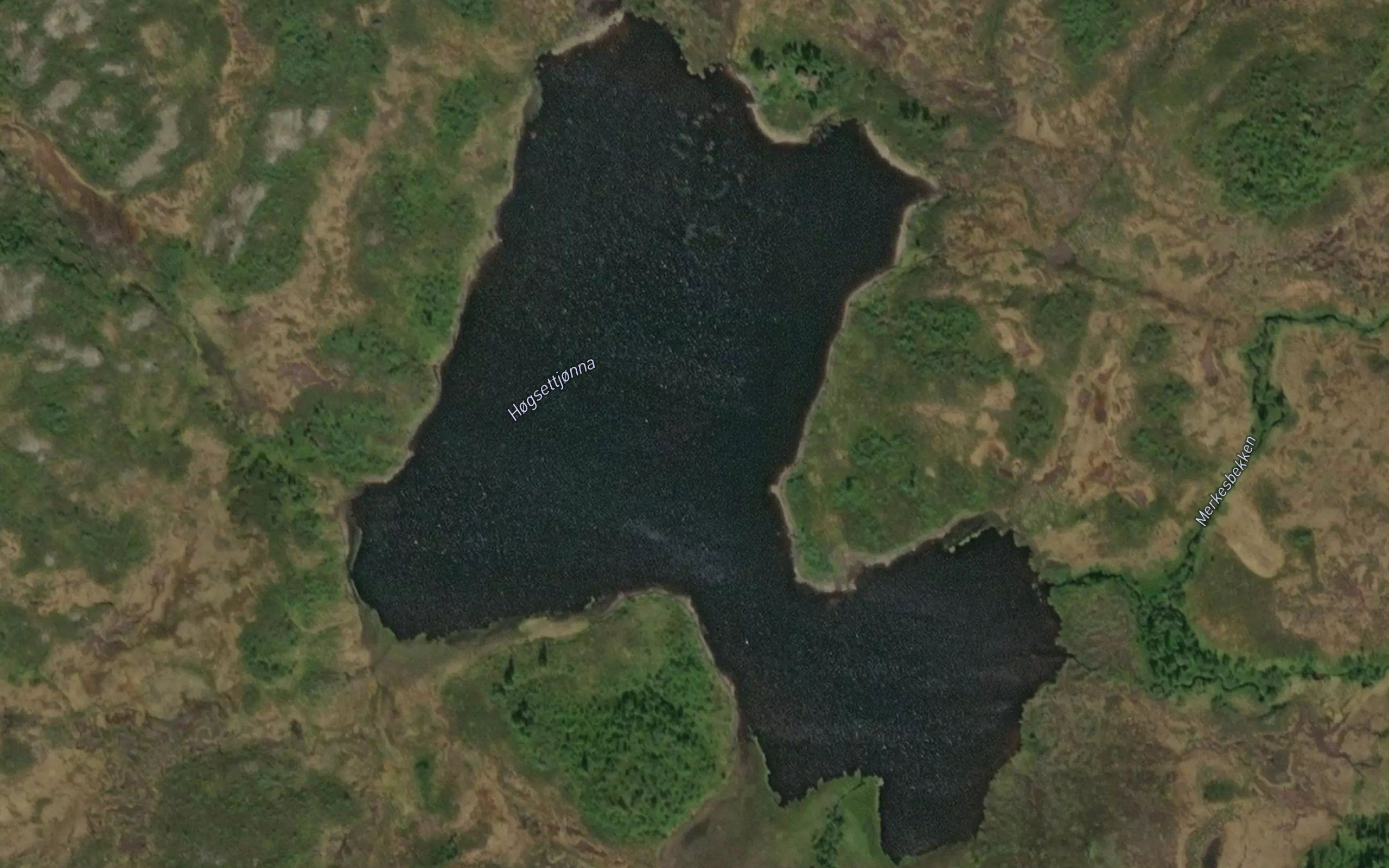 Hogsetetjorna