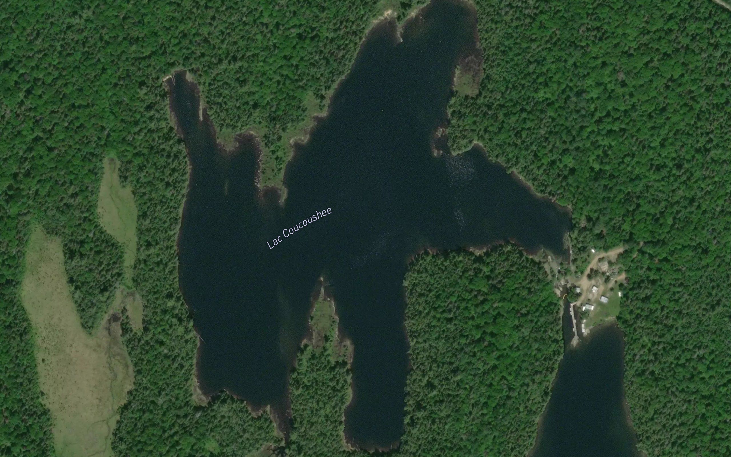 Lac Coucoushee