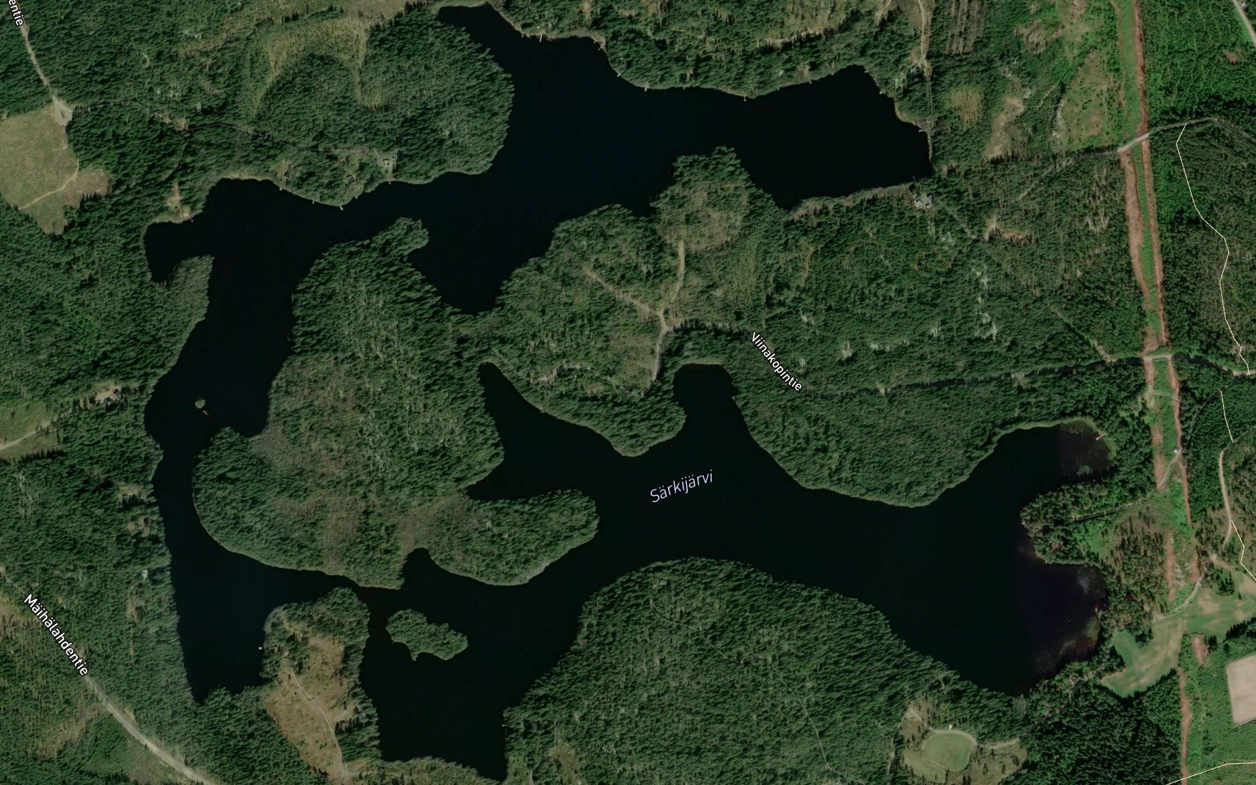 Viitamaanlahti