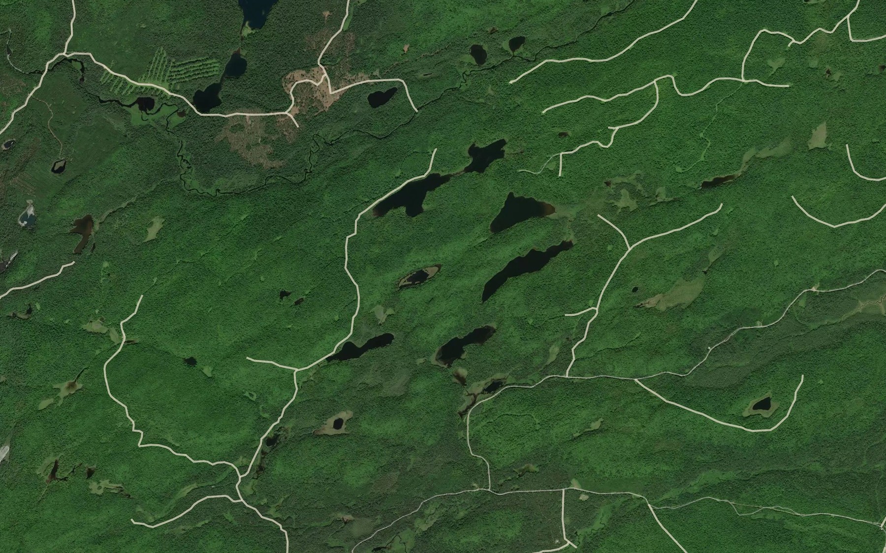 Satellite map of the Twin Lakes