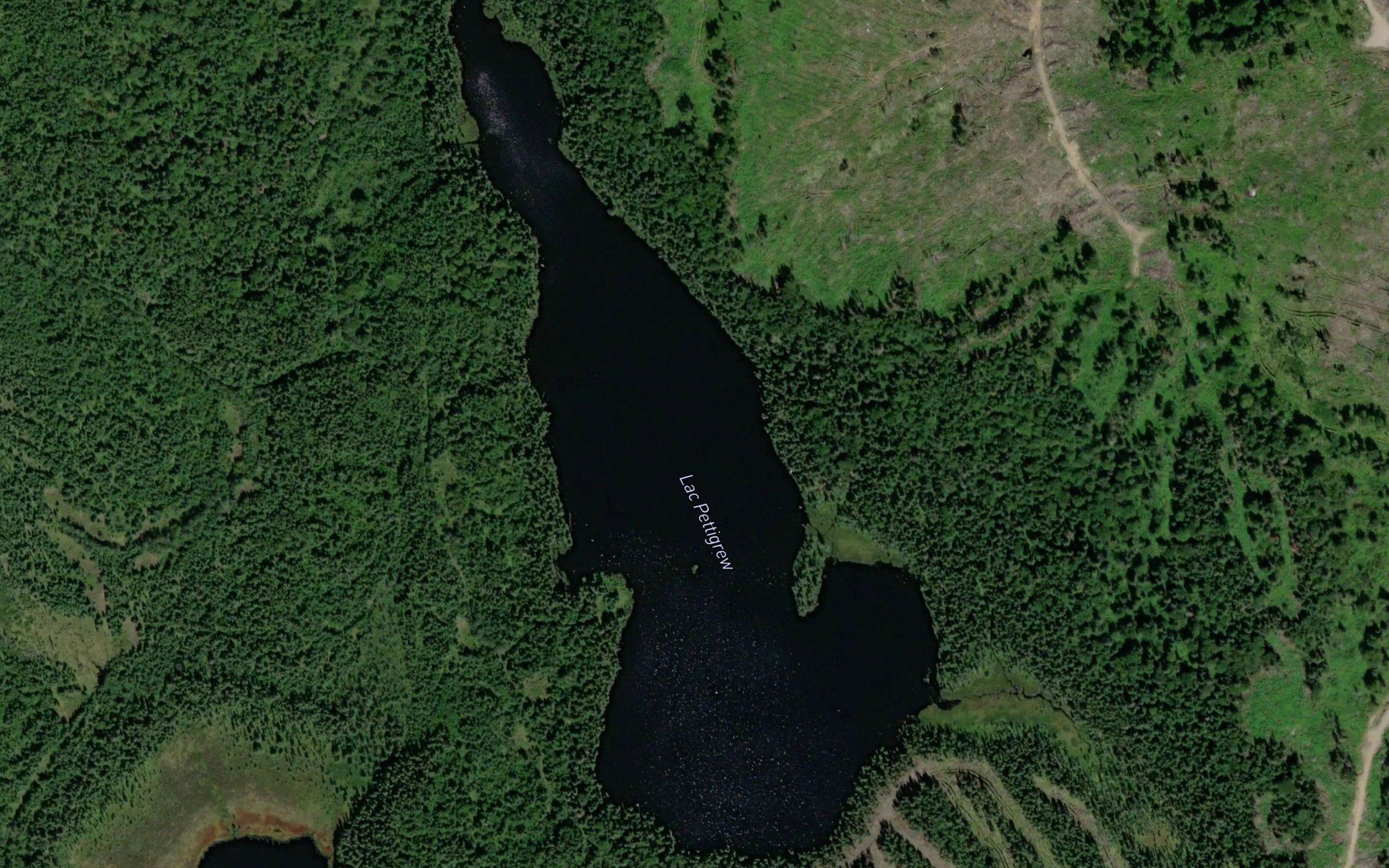 Lac Pettigrew