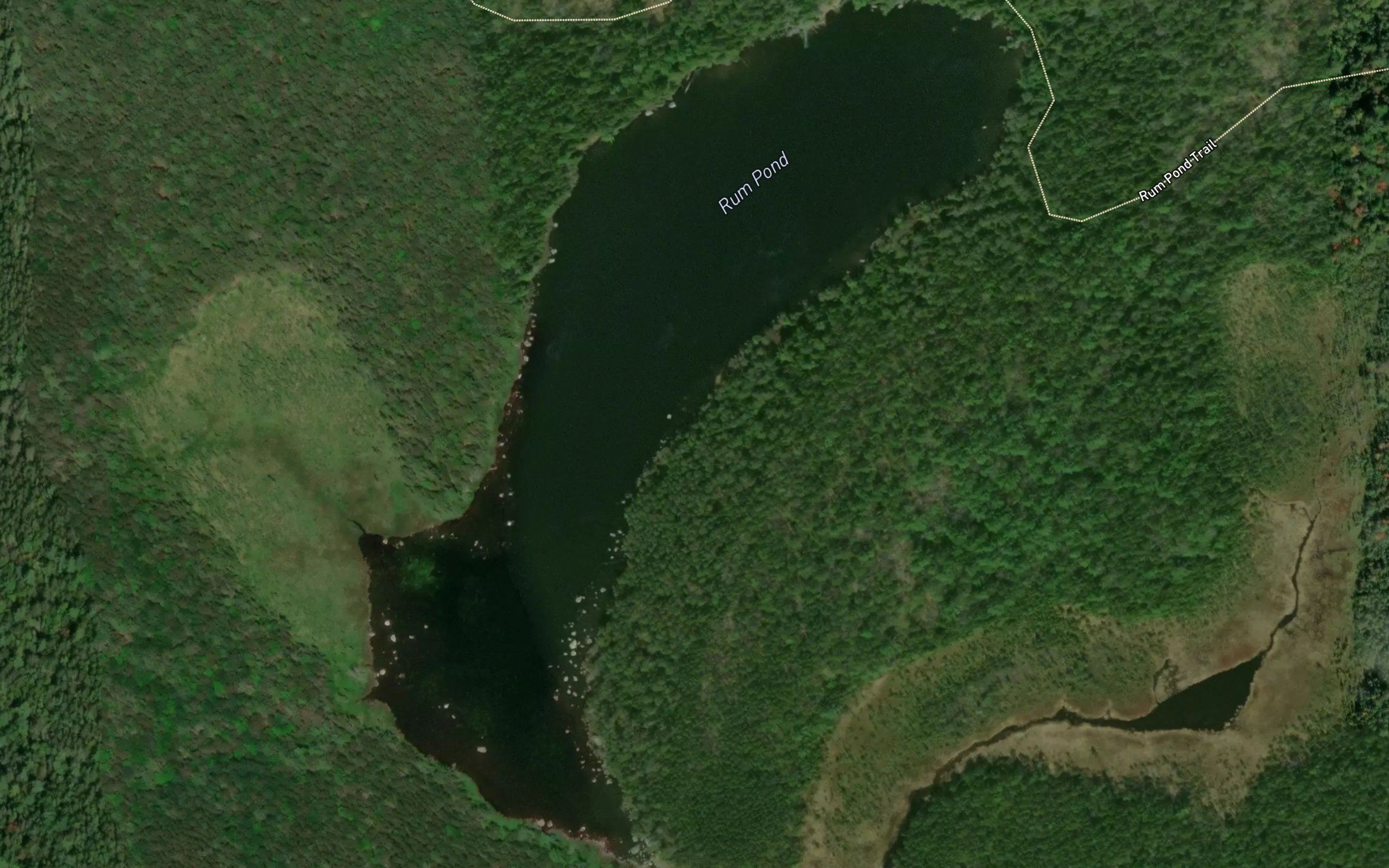 Rum Pond