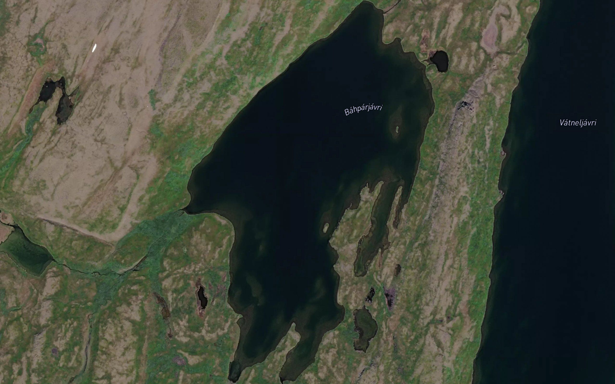 Bahparjavri