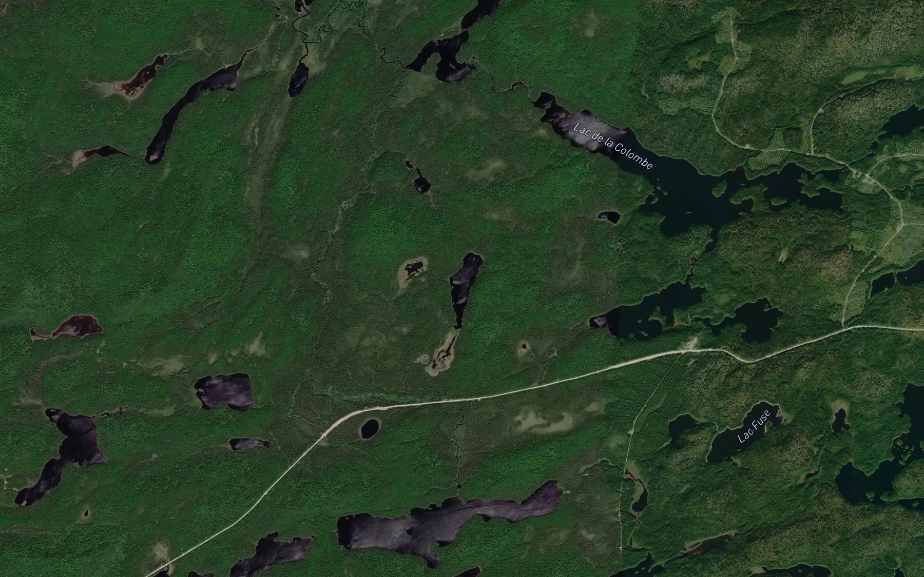Satellite map of the Lac du Thon
