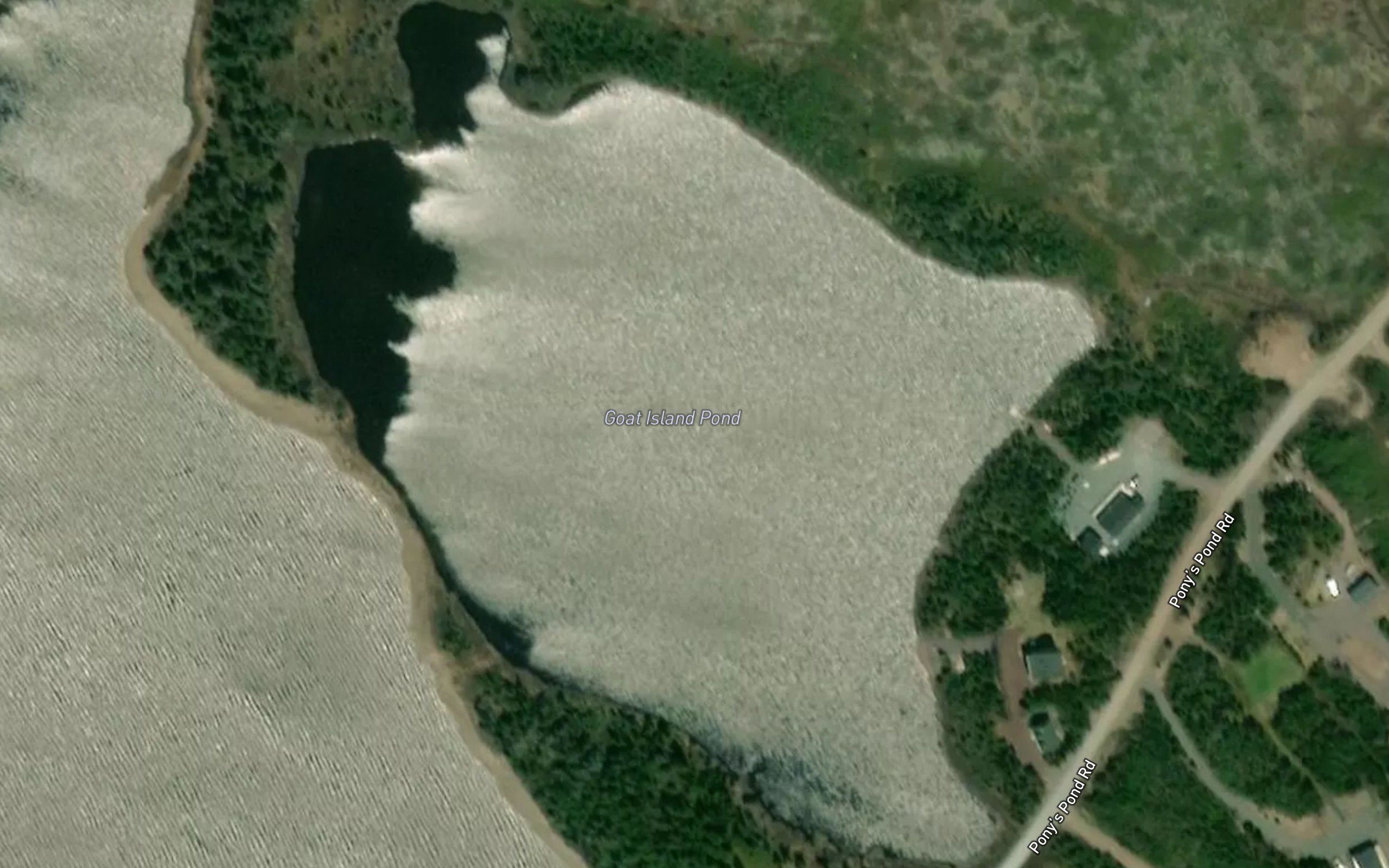Goat Island Pond