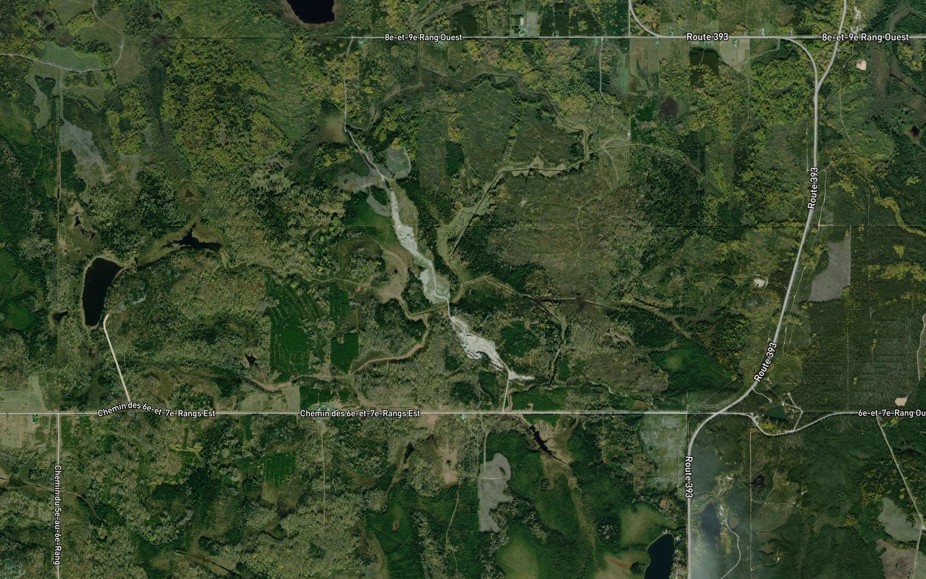 Satellite map of the Branche Therrien