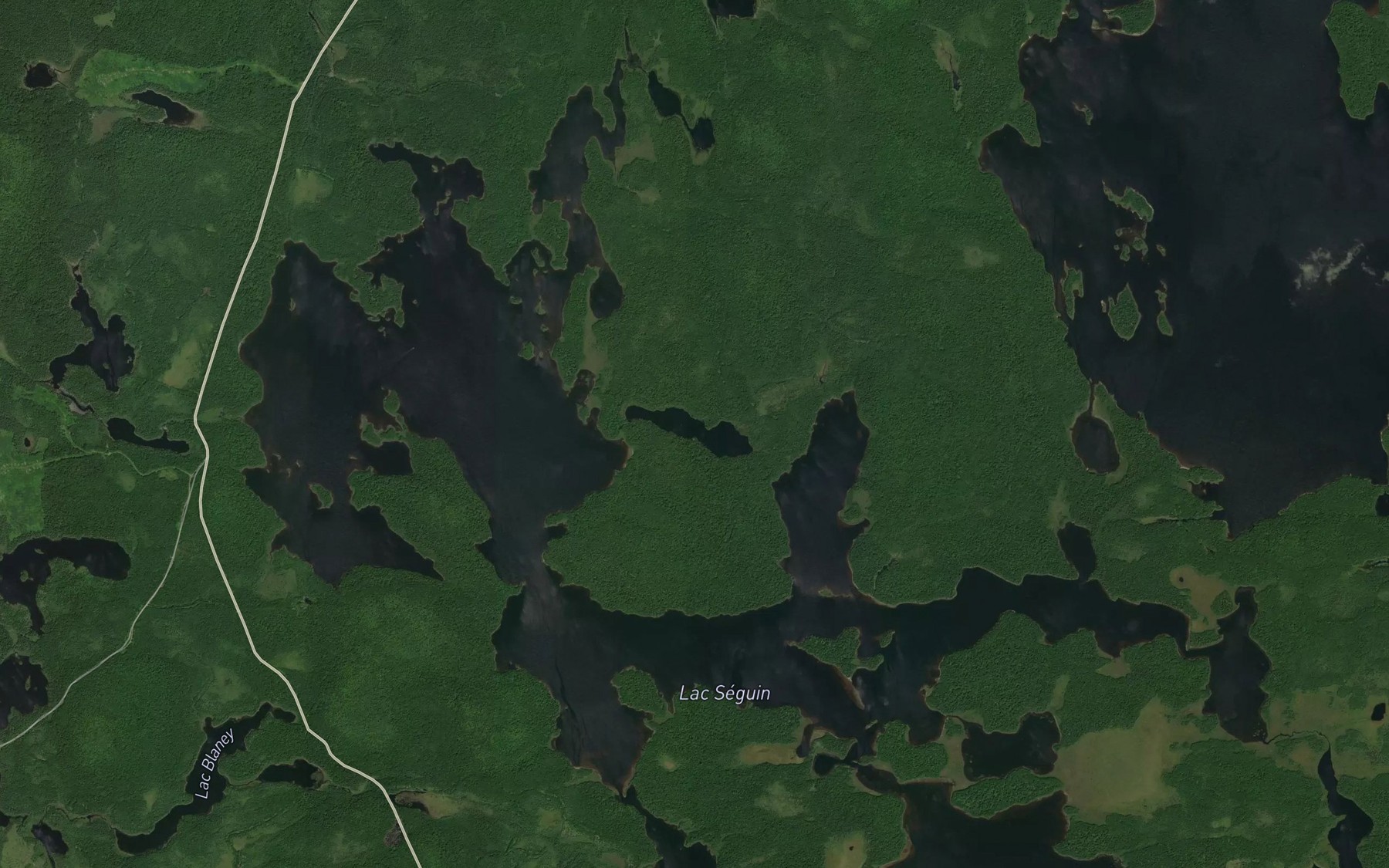 Satellite map of the Lac du Mica