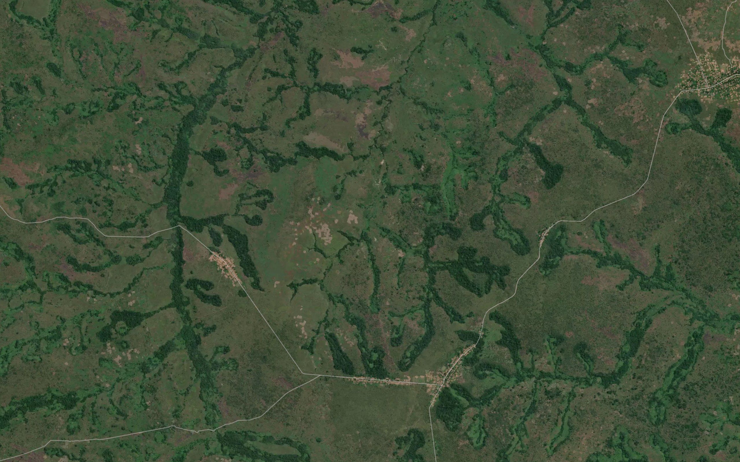 Muyngu