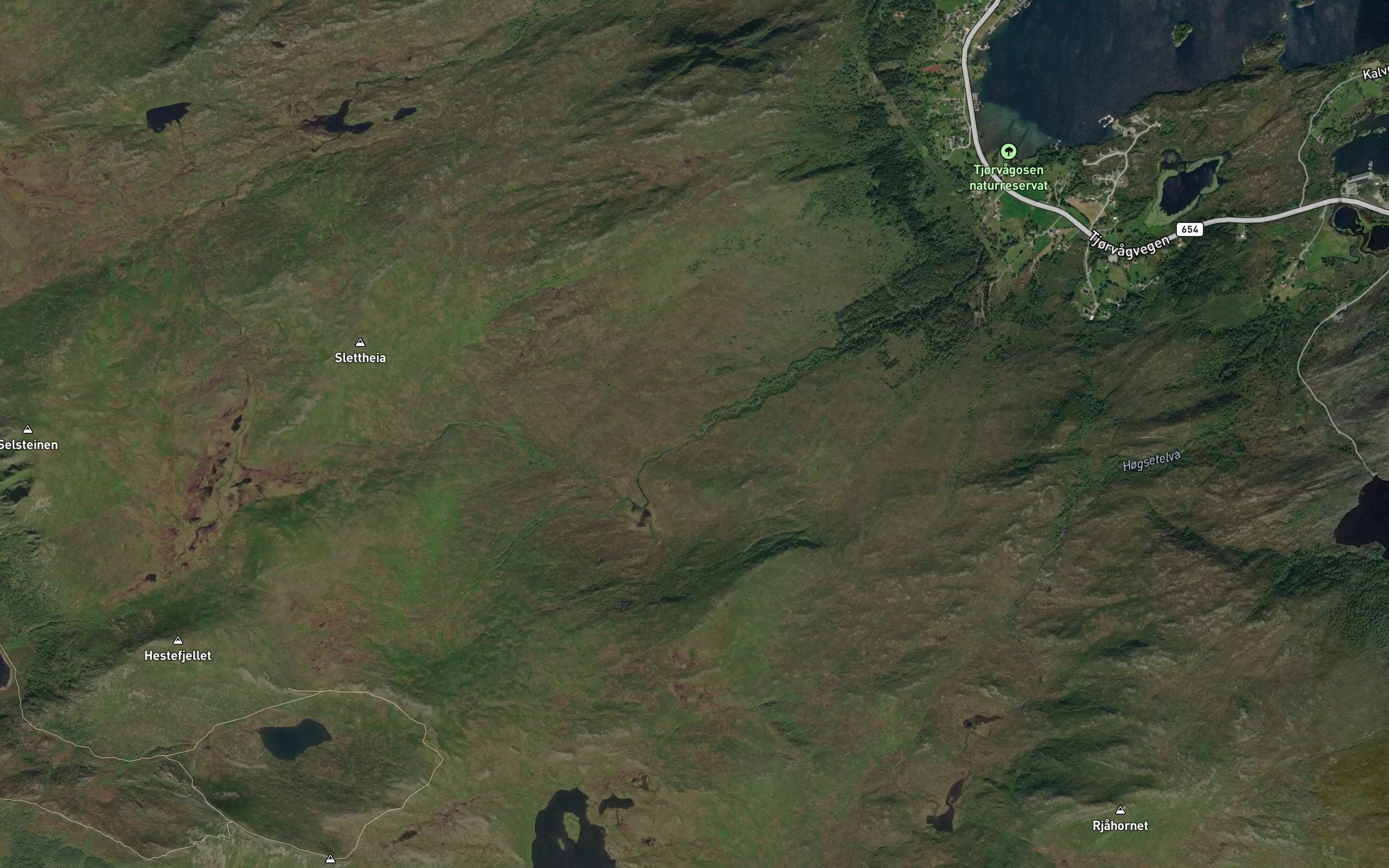 Tjorvagelva
